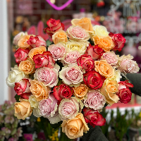 Miss MIXED ROSES No1